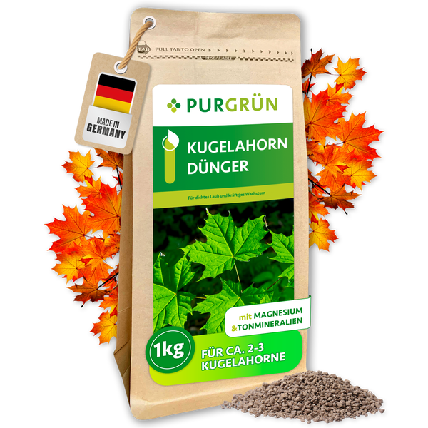 Eine Packung Purgrün Kugelahorn Dünger mit einem Kilogramm Inhalt, hergestellt in Deutschland, angereichert mit Magnesium und Tonmineralien.