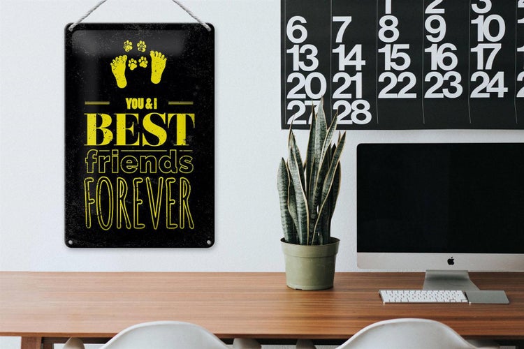 Blechschild Spruch Freunde You I best friends forever 20x30cm
