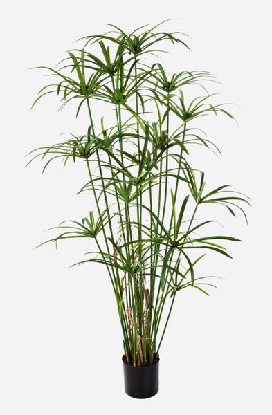 Künstliche Blume Tulbaghia mit violetten Blüten und grünem Stängel.