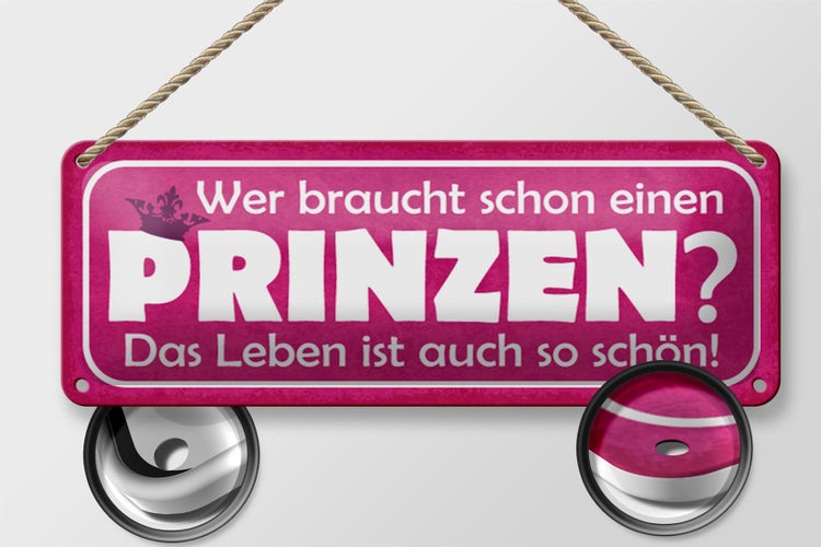 Blechschild Spruch 27x10cm wer braucht schon einen Prinzen Dekoration