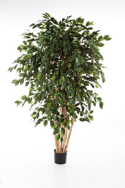 Künstlicher Ficus-Baum im schwarzen Topf mit dichtem grünem Blattwerk.