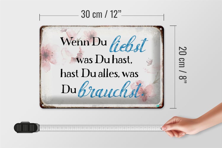 Blechschild Spruch 30x20cm wenn du liebst was du hast