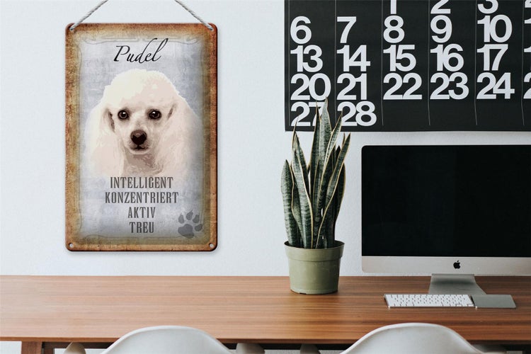 Blechschild Spruch 20x30cm Pudel Hund aktiv Schild