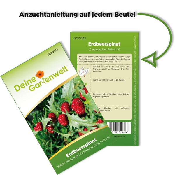 Samentüte für Erdbeerspinat von Deine Gartenwelt mit Anzuchtanleitung auf der Rückseite.