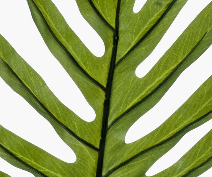 Nahaufnahme einer künstlichen Pflanze mit grünen Blättern und Stielen aus Kunststoff.