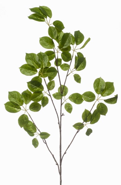 Künstlicher Dekozweig mit grünen Blättern.