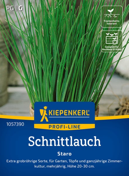 Schnittlauch Staro Samen von Kiepenkerl Profi Line für Garten und Töpfe, mehrjährig und trockenheitstolerant.