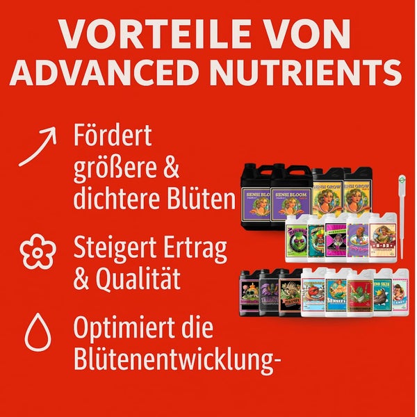 Vorteile von Advanced Nutrients: Fördert größere und dichtere Blüten, steigert Ertrag und Qualität und optimiert die Blütenentwicklung.