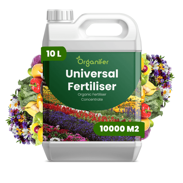 10-Liter-Kanister Organifer Universal Dünger, organisches Düngerkonzentrat für 10000 Quadratmeter, Organifer Logo.