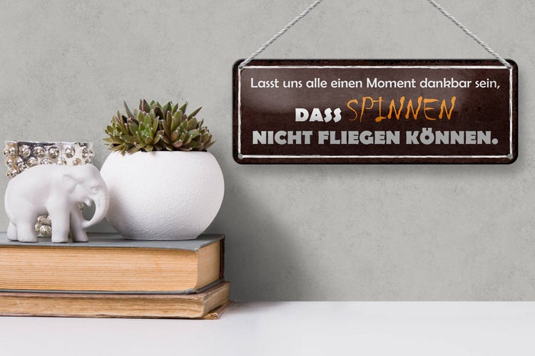 Blechschild Spruch 27x10cm Spinnen nicht fliegen können Dekoration