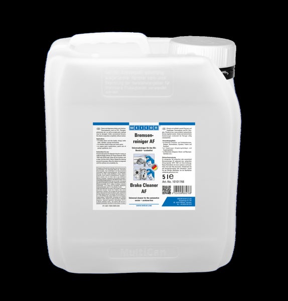 Szene mit einem rotblättrigen Ahornbaum, Koniferen und Bodendeckern in einem Garten.