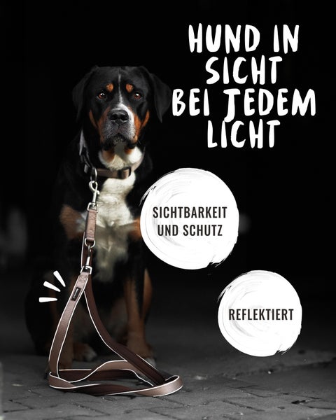 Frau mit Hund an der Leine im Freien. Die Leine ist für mittelgroße und große Hunde geeignet und wiegt 280 Gramm.