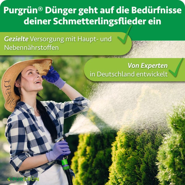 Eine Person mit Hut gießt Gartenpflanzen mit einem Wasserschlauch. Werbebild für Purgrün Schmetterlingsflieder Dünger mit Produktinformationen.