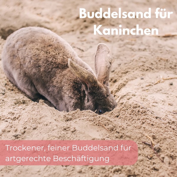Quarzsand Feuergetrocknet 25 Kg 0 ,1 - 0,4 mm Sand Pflanzen Quarzsand Fugensand Strahlsand Buddelsand für Kaninchen Dachpappenbesandung