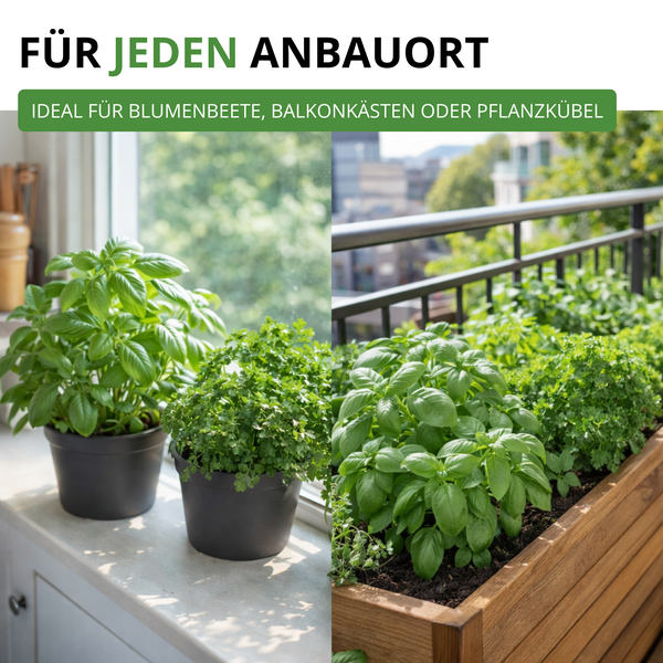Kräuter wie Basilikum und Petersilie in Töpfen auf einer Fensterbank und in einem Balkonkasten aus Holz, geeignet für verschiedene Standorte.