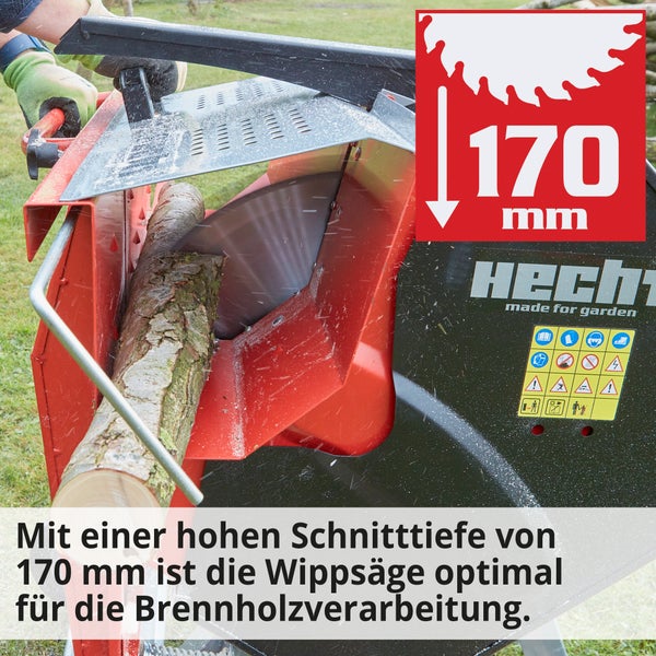 Brennholzsäge in Aktion beim Schneiden eines Holzscheits, Schnitttiefe 170 Millimeter.