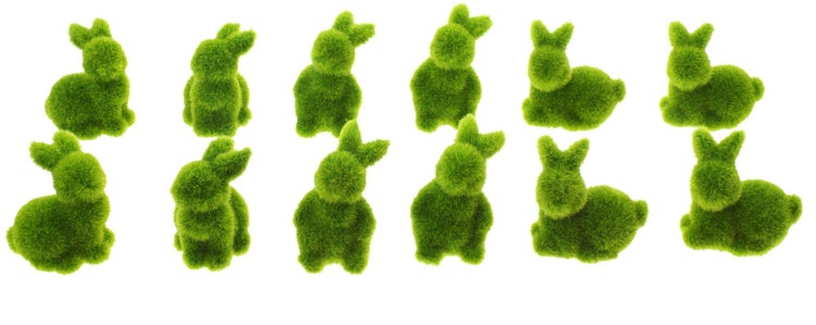 FRANK FLECHTWAREN | Mini-Hase Moos, 12er Set, KUNSTSTOFF, ca. Höhe 5 cm