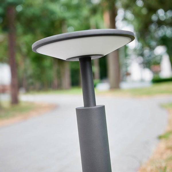 Moderne Wegeleuchte für den Außenbereich mit rundem, flachem Kopf und dunkelgrauer Metalloberfläche in einem weitläufigen Garten.