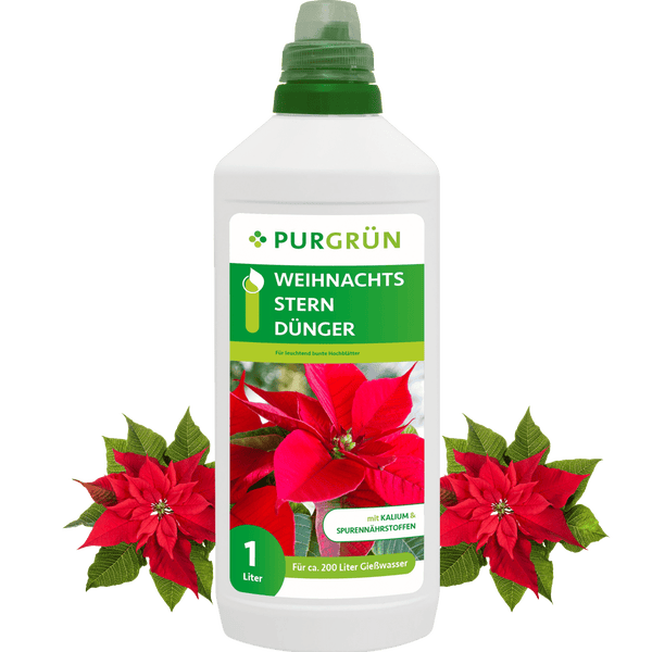 Purgrün Weihnachtsstern-Dünger 1 Liter