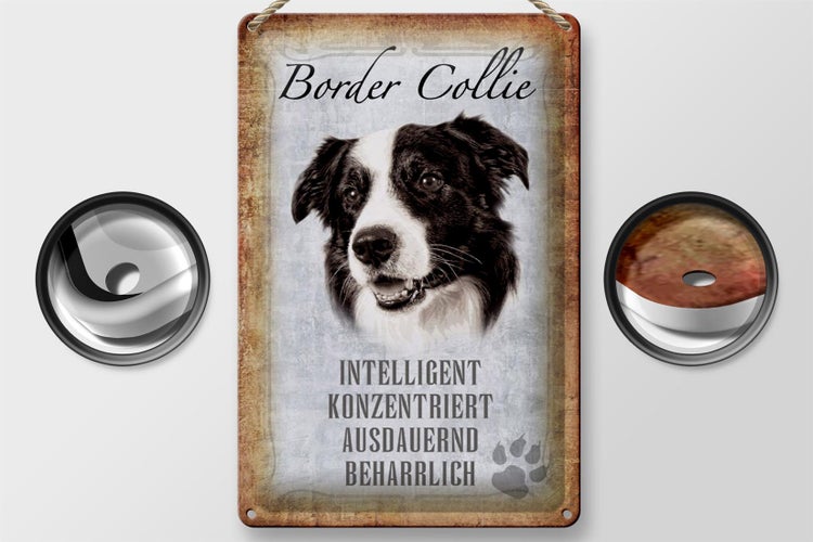 Blechschild Spruch 20x30cm Border Collie Hund Schild