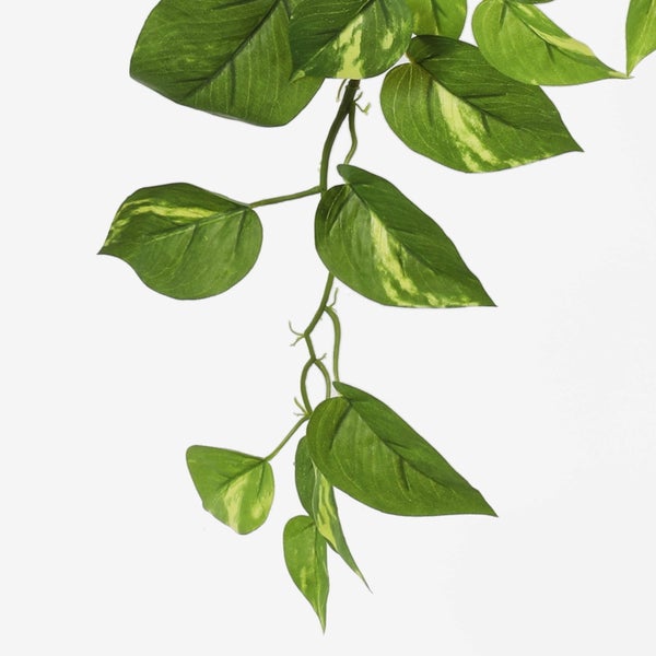 Künstliche Hängepflanze Efeutute mit gemusterten, herzförmigen Blättern