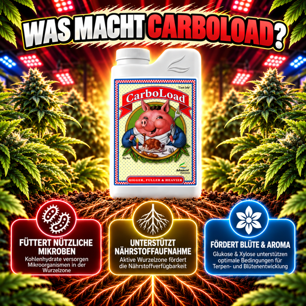 Advanced Nutrients CarboLoad Pflanzennährstoff zur Förderung von Blüte Aroma und Wurzelgesundheit vor dem Hintergrund blühender Pflanzen