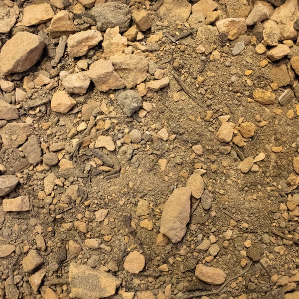 Nahaufnahme von Erde mit Steinen in verschiedenen Größen und kleinen Zweigen.