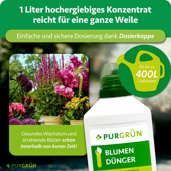 Purgrün Blumendünger Konzentrat 1 Liter für bis zu 400 Liter Gießwasser, mit Dosierkappe für gesundes Wachstum und Blütenpracht, Purgrün Logo.