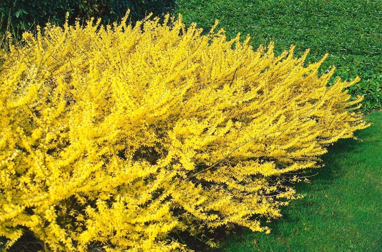 Schwarze Werkzeugtasche mit Schultergurt, drei D-Ringen und seitlichen Außentaschen.