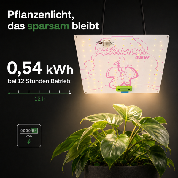 LED Pflanzenlicht Cosmos 45 Watt über einer Zimmerpflanze, Energieverbrauch von 0,54 Kilowattstunden bei 12 Stunden Betrieb.