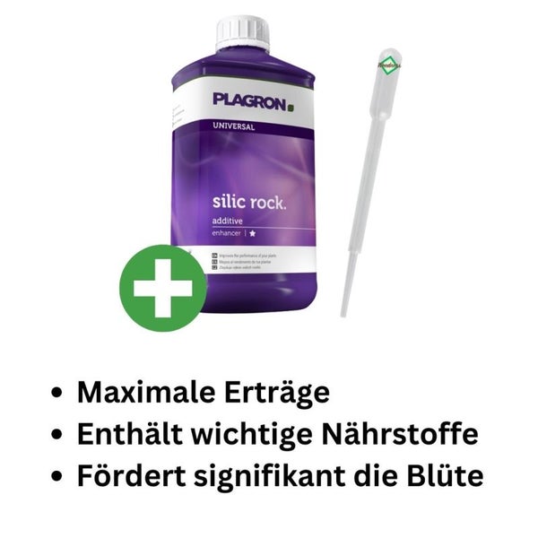 Plagron Silizium Rock 1 Liter – Natürlicher Wachstumsbooster für kräftige, widerstandsfähige Pflanzen | Flüssiges Konzentrat für Indoor & Outdoor, universell einsetzbar