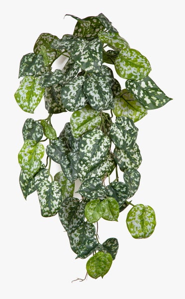 Künstlicher Eukalyptus-Hänger mit länglichen Blättern