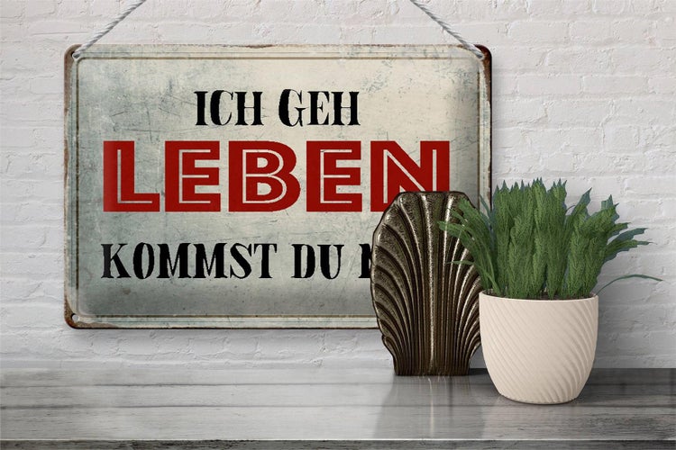 Blechschild Spruch 30x20cm geh leben kommst du mit Retro