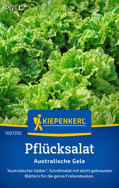 Saatgut für Pflücksalat Australische Gele von Kiepenkerl mit gekrausten Blättern für die Freilandsaison.