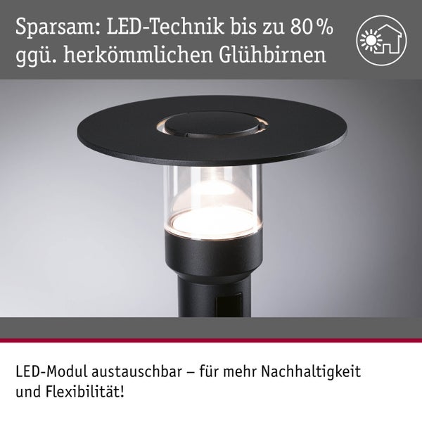 LED-Außenleuchte, spart bis zu 80 Prozent Energie gegenüber herkömmlichen Glühbirnen, mit austauschbarem LED-Modul für Nachhaltigkeit.