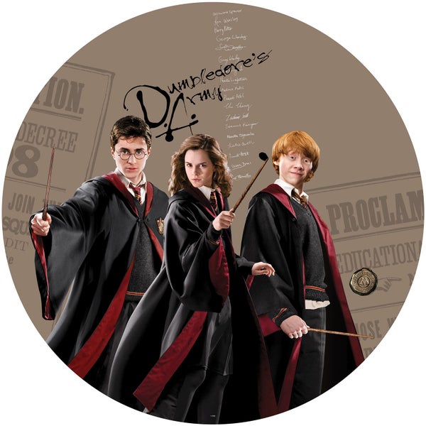 Harry Potter, Hermine Granger und Ron Weasley mit Zauberstäben