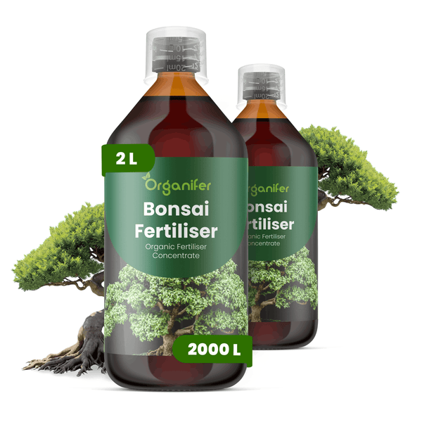 Organifer Bonsai Dünger Konzentrat, zwei 2-Liter-Flaschen, organischer Flüssigdünger für Bonsai-Bäume.