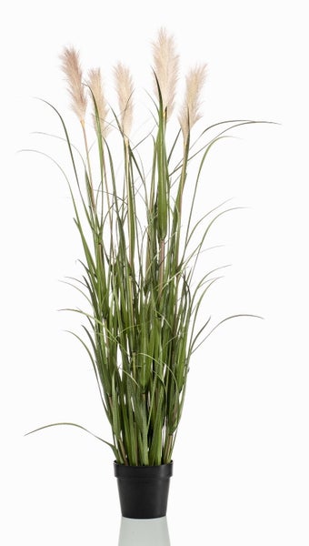 Künstliches Pampasgras mit flauschigen Wedeln und grünen Blättern.