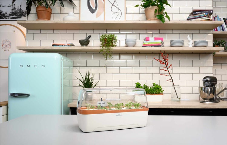 Romberg BoQube L Plus Gewächshaus & Pflanzkasten System - Anzuchtgewächsaus 2-in-1 System für Pflanzenanzucht