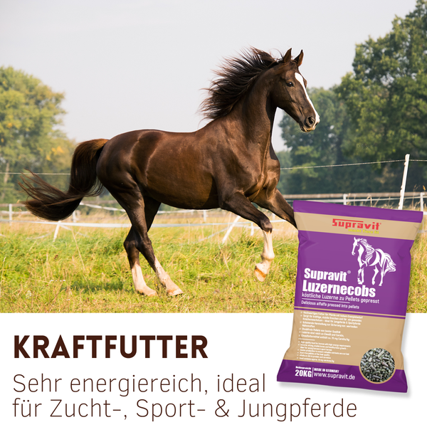 Ein Sack Luzernecobs von Supravit neben einem laufenden Pferd auf einer Wiese.