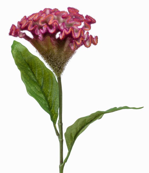 Künstliche Celosia mit gewellter pinkfarbener Blüte und grünem Stiel.