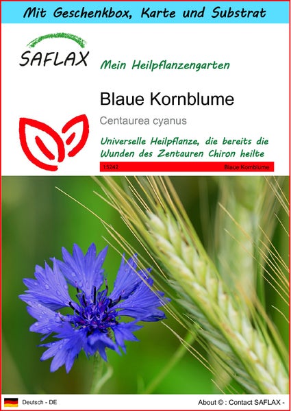 SAFLAX Geschenk Set - Blaue Kornblume - Centaurea cyanus - 27000 Samen - Mit Geschenkbox, Versandaufkleber, Geschenkkarte und Anzuchtsubstrat