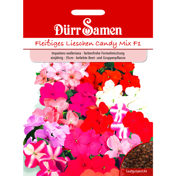 Kescher mit Teleskopstiel und Maßangaben