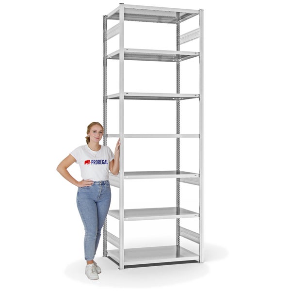 PROREGAL Fachbodenregal Stecksystem T-Profil Light-Duty Grundregal HxBxT 300 x 100 x 60 cm 7 Ebenen Fachlast 140 kg Beidseitig Nutzbar Lichtgrau