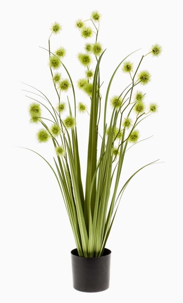 Detailansicht einer Kunstpflanze Gras mit feinen Halmen und runden flauschigen Blüten.