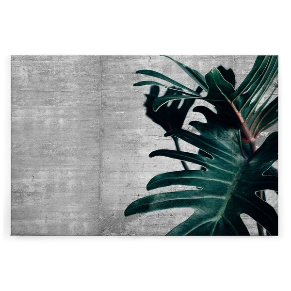 Wandbild mit Motiv einer Philodendron Pflanze vor einer Betonwand.