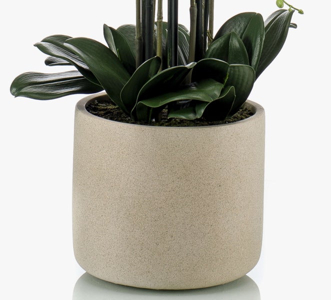 Künstliche Orchidee in einem zylindrischen beigen Keramiktopf mit dunkelgrünen Blättern und Stützstäben.