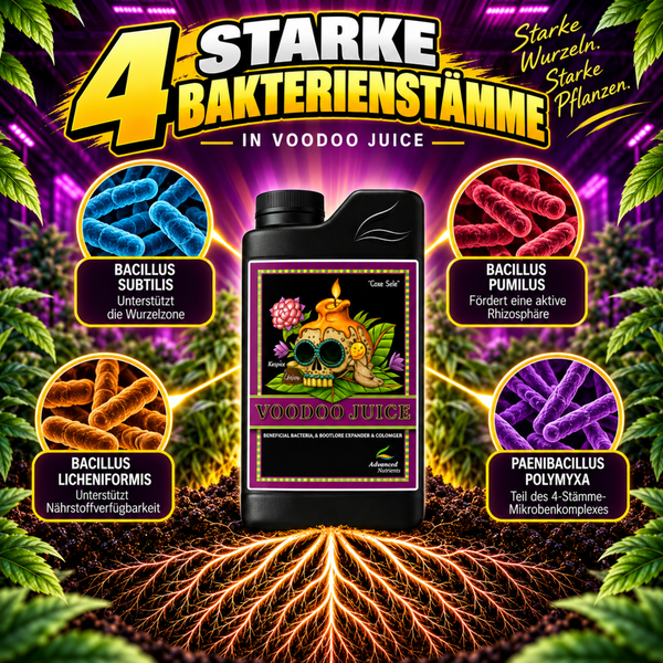 Advanced Nutrients Voodoo Juice Wurzelbooster Flasche mit 4 Bakterienstämmen für starkes Wurzelwachstum und Pflanzengesundheit.