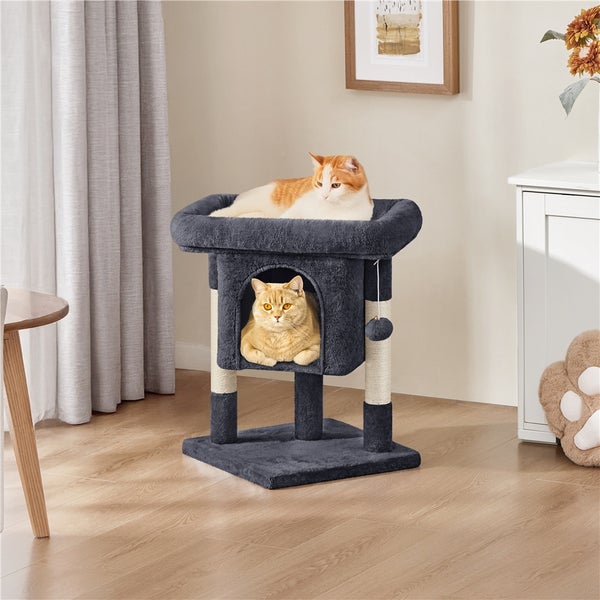 Katzenkratzbaum mit zwei Katzen in einem Wohnzimmer