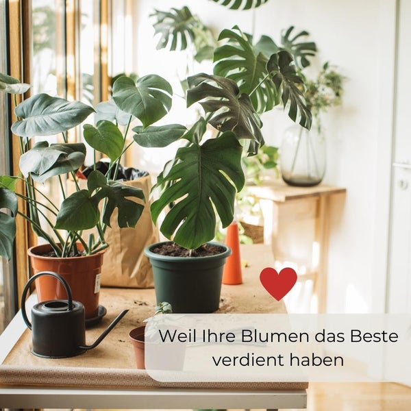 Blumenerde 40 L Anzuchterde Gartenerde Universalerde Pflanzenerde Blumen Pflanzen Erde Hochbeeterde gebrauchsfertig